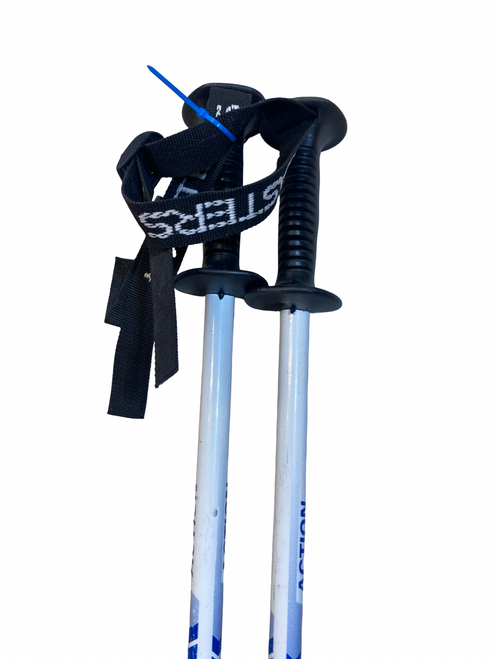 Vist Large View of Product Image Which is Used Masters ACTION Mens DH Ski Pole White 120 cm / 48 in