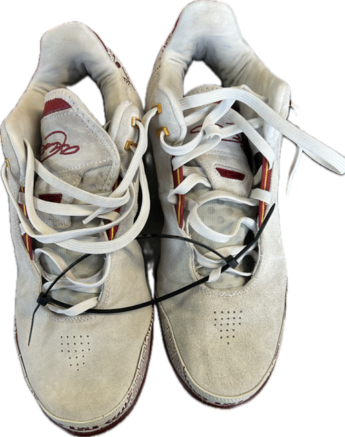 Vist Large View of Product Image Which is Used Nike Basketball Shoes M Grey Senior 12