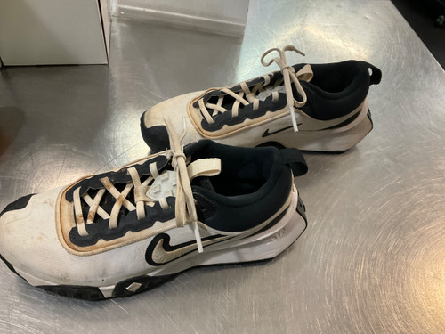 Vist Large View of Product Image Which is Used Nike 7 TURF BB/SB Cleats White Senior 7