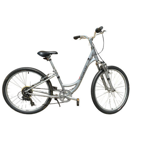 Vist Large View of Product Image Which is Used Specialized EXPEDITION Cruiser Bike Womens Grey 15-16" - SM  Frame