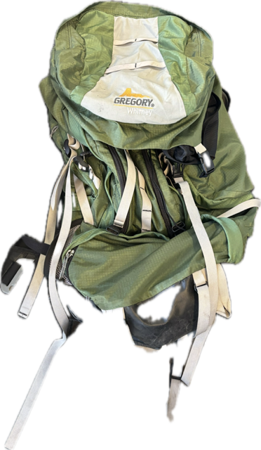 Vist Large View of Product Image Which is Used Gregory WHITNEY Backpack Green