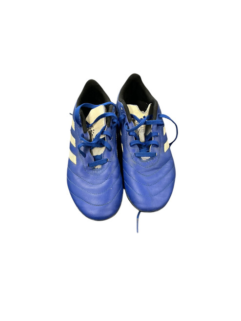 Vist Large View of Product Image Which is Used Adidas Soccer Cleats Royal Blue Junior 04