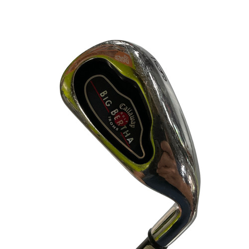 Vist Large View of Product Image Which is Used Callaway BIG BERTHA 2004 Mens Individual Iron RH 6 Iron