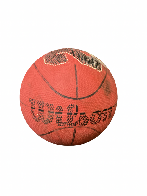 Vist Large View of Product Image Which is Used Wilson Basketball Youth Indoor Child
