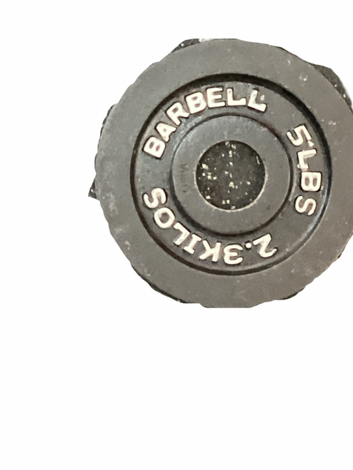 Vist Large View of Product Image Which is Used Olympic Plate (Each) 5 lb