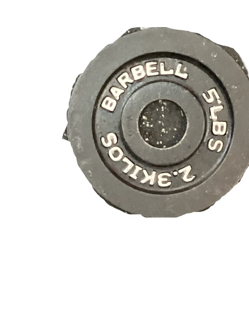 Vist Large View of Product Image Which is Used Olympic Plate (Each) 5 lb