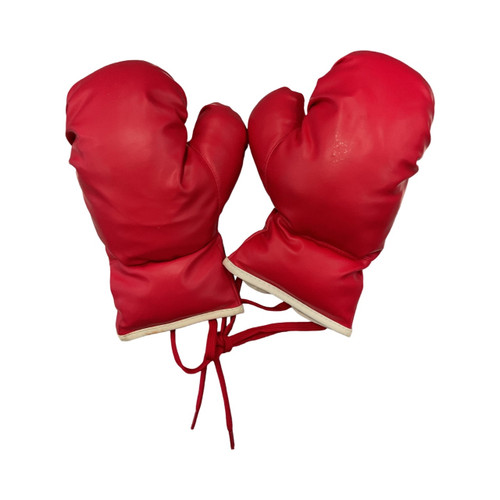 Vist Large View of Product Image Which is Boxing Gloves- Small