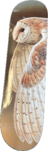Vist Large View of Product Image Which is Used Zero ART Skateboard Deck Only Orange Regular