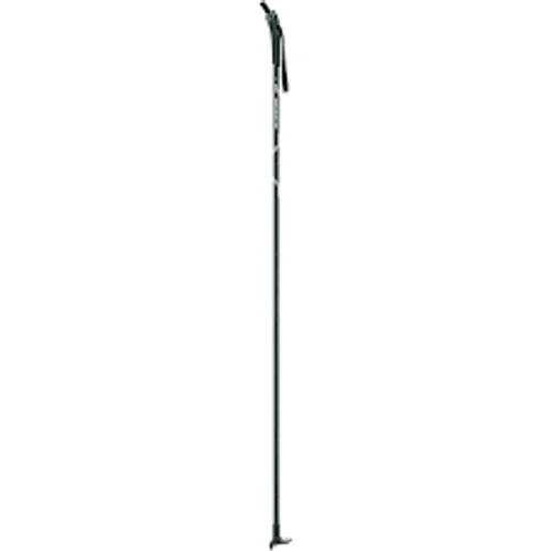 Vist Large View of Product Image Which is New Swix Focus Nordic Pole