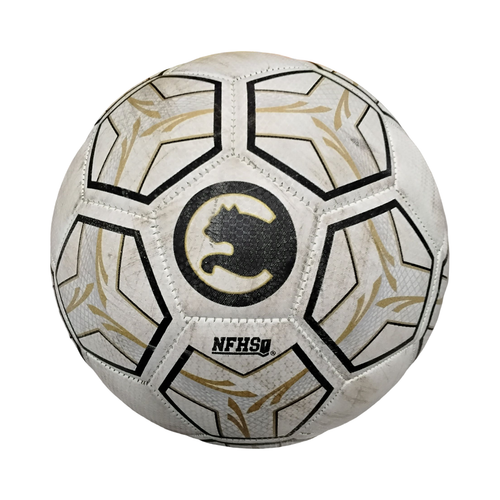 Vist Large View of Product Image Which is Used Puma PROCAT All Size Soccer Ball White 5