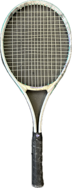 Vist Large View of Product Image Which is Used Dunlop Racquets TURBO JUNIOR Junior Tennis Racquet Grey 25"