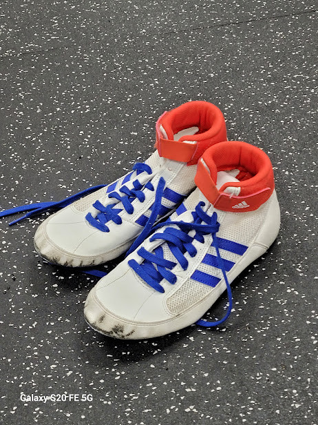 Vist Large View of Product Image Which is Used Adidas Wrestling Shoes White Junior 04