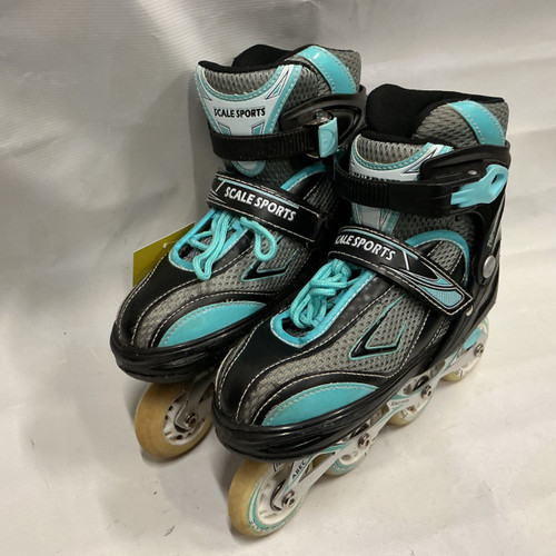 Vist Large View of Product Image Which is Used SCALE SPORTS ADJ 4-6 SKATES Junior Rec Fitness Skates Grey Adjustable