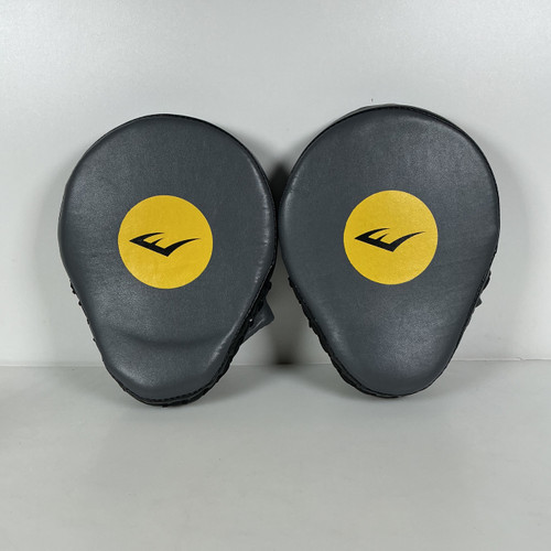 Vist Large View of Product Image Which is Used Everlast Boxing Pads Grey