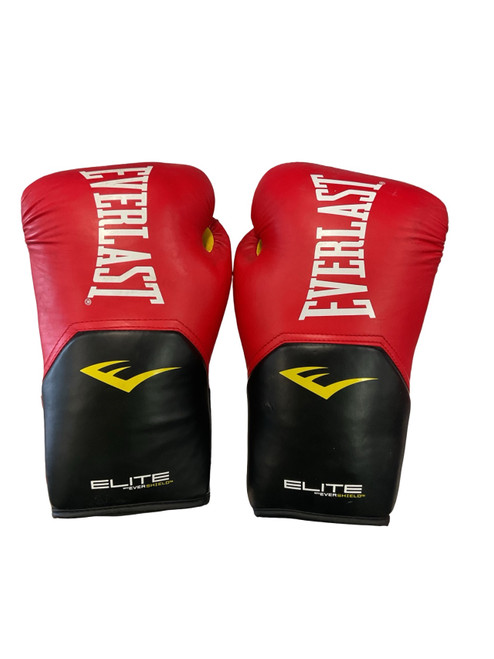 Vist Large View of Product Image Which is Everlast, Boxing Gloves