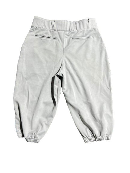 Vist Large View of Product Image Which is Used Champro MENS TRIPLE CROWN KNICKER - MD BB/SB Pant Mens Royal Blue And Grey MD