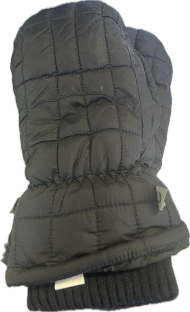 Vist Large View of Product Image Which is Used The North Face Outerwear Mens Gloves Black M