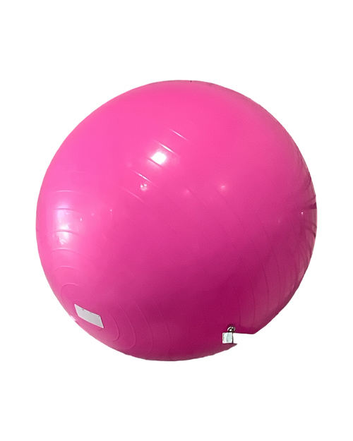 Vist Large View of Product Image Which is New 55 CM EXERCISE BALL PINK