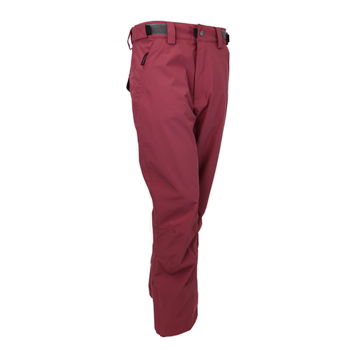 Vist Large View of Product Image Which is New Turbine Go-2 Snow Pants Shiraz- Women's XL