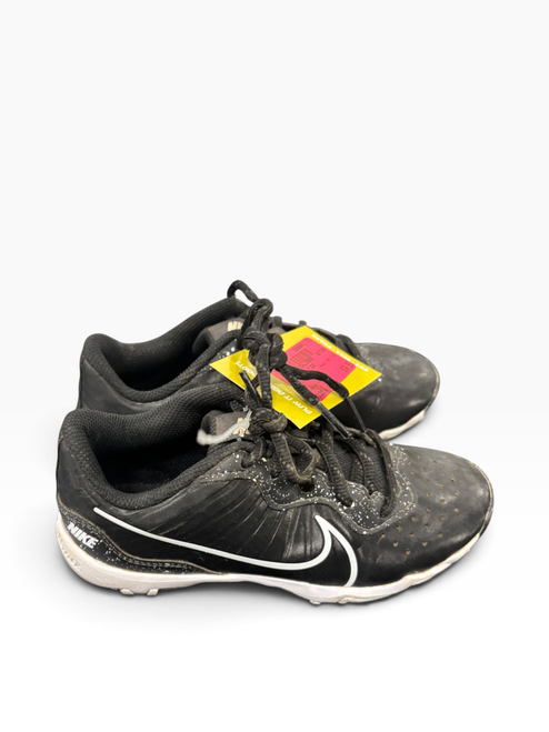 Vist Large View of Product Image Which is Used Nike FAST FLEX BB/SB Cleats Black Junior 01