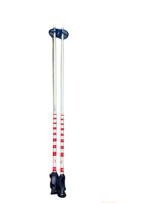 Vist Large View of Product Image Which is Used BB Mens DH Ski Pole White 120 cm / 48 in