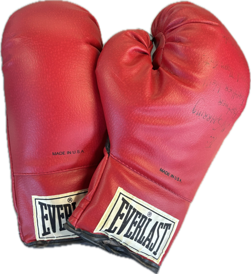 Vist Large View of Product Image Which is Used Everlast Boxing Gloves Red Senior