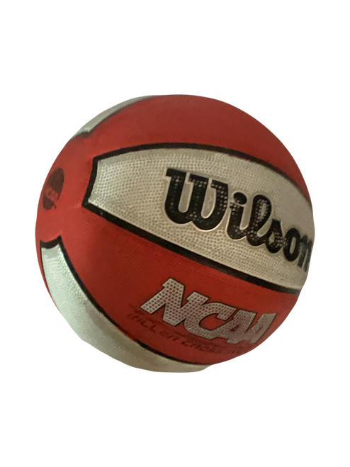 Vist Large View of Product Image Which is Used Wilson Basketball Inter Outdoor