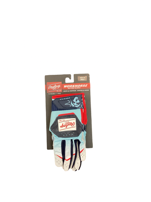 Vist Large View of Product Image Which is New WORKHORSE AMERICA YTH SM