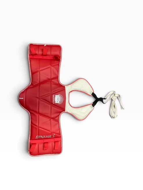 Vist Large View of Product Image Which is Used Martial Arts Chest Guard Red Youth