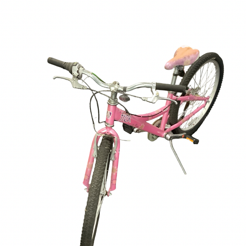 Vist Large View of Product Image Which is Used Trek MT 220 Mountain Bike Girls Pink 24"