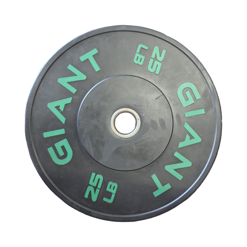 Vist Large View of Product Image Which is Used Olympic Plate (Each) 25 lb