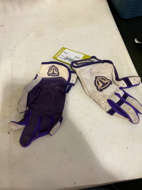 Vist Large View of Product Image Which is Used BB/SB Batting Gloves Purple MD
