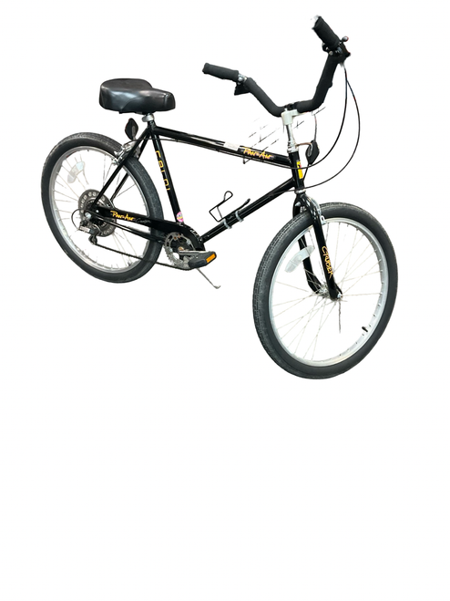 Vist Large View of Product Image Which is Used PAN-AM CRUISER Cruiser Bike Mens Black 53-57cm - 21-22" - XL Frame