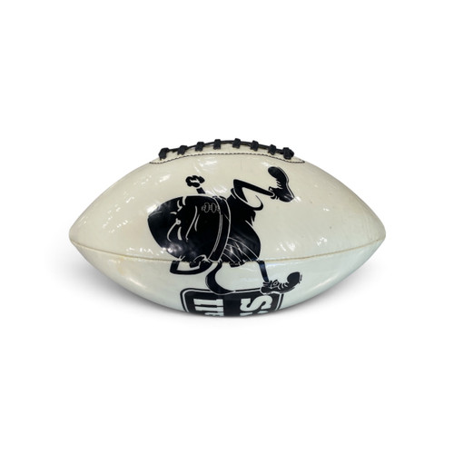 Vist Large View of Product Image Which is Used Junior Football
