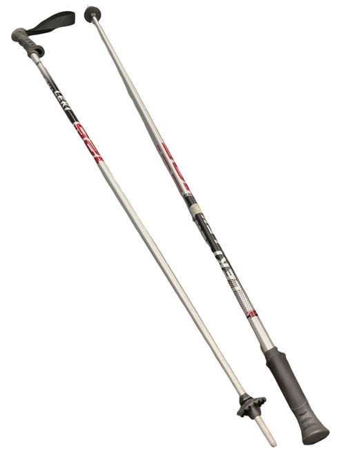 Vist Large View of Product Image Which is Used LEKI DEMO Mens DH Ski Pole Silver 125 cm / 50 in