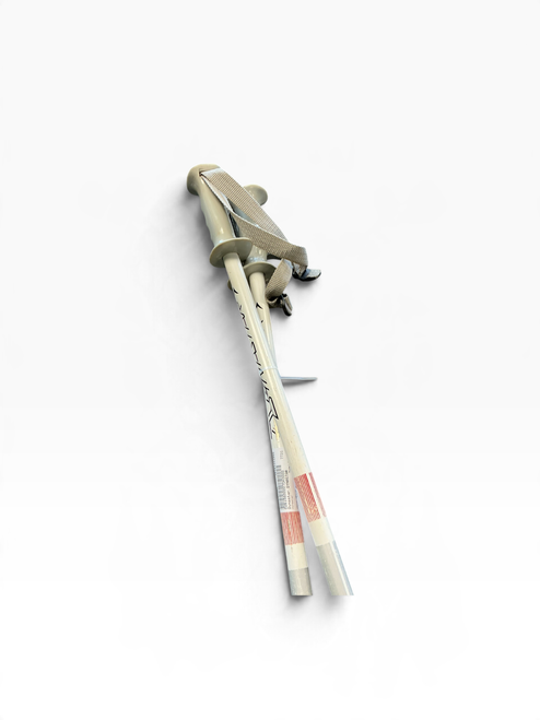 Vist Large View of Product Image Which is Used Dynastar DYNASTAR Mens DH Ski Pole White 120 cm / 48 in