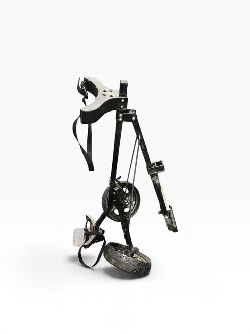Vist Large View of Product Image Which is Used 2 WHEEL CART Golf Cart 2 Wheel