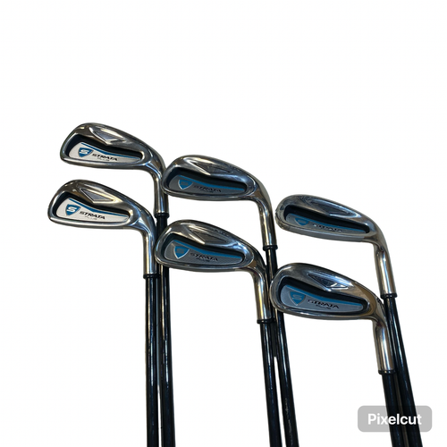 Vist Large View of Product Image Which is Used Strata PLUS Womens Iron Set RH 6I-SW