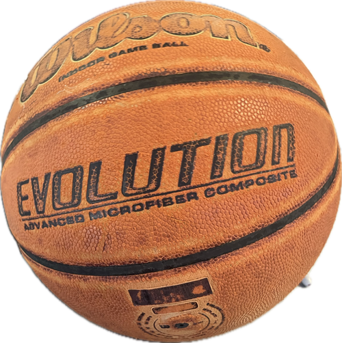 Vist Large View of Product Image Which is Used Wilson Evolution Basketball Adult Indoor