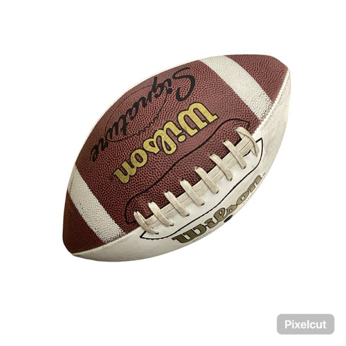 Vist Large View of Product Image Which is Used Wilson Official Football