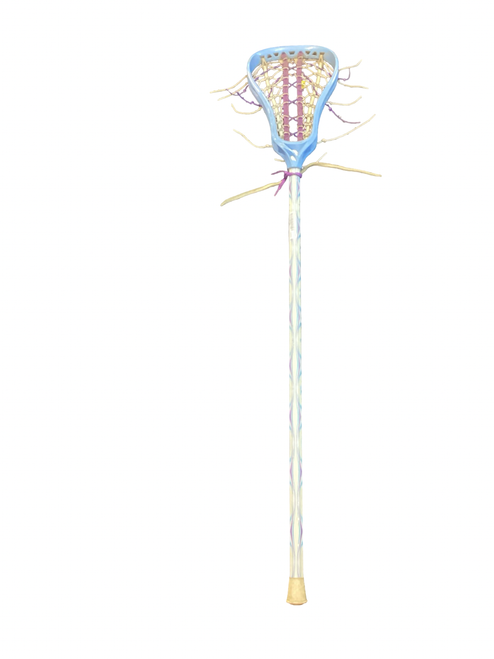 Vist Large View of Product Image Which is Used Brine ALLURE Wmn Atk/Mid Complete Stick Carolina Blue
