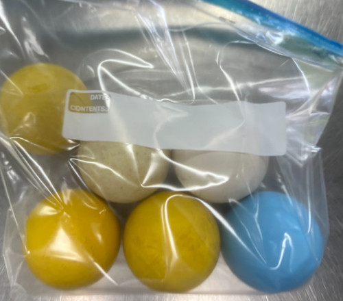 Vist Large View of Product Image Which is Used Lacrosse Balls None