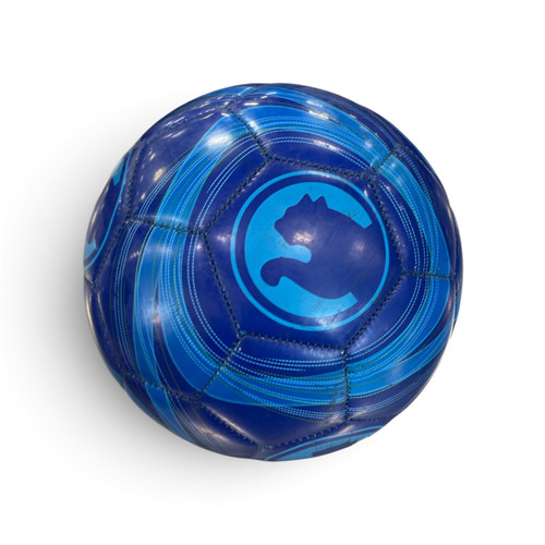 Vist Large View of Product Image Which is Used ProCat Soccer Ball Size 4 Royal Blue (All Size), product view