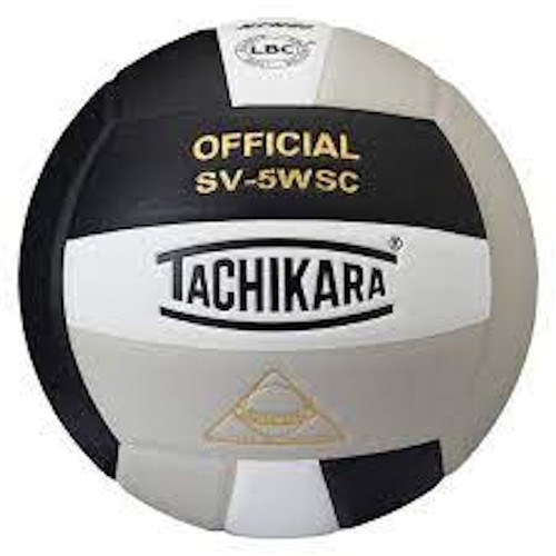 Vist Large View of Product Image Which is Volleyball Volleyballs
