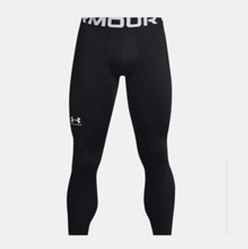 Under Armour ColdGear Leggings #1366075