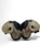 Schutt Football Football Shoulder Pads View 1