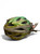 Bell Bicycles Bicycle Helmets View 1