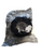 New POWERFLEX SPORT WRAP BLACK 11849-70B3815BLA View 1