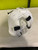 Used Boxing Headgear White 11790-S000035614 View 1