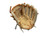 Mizuno Baseball and Softball Fielders Gloves View 4